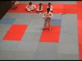 Silicon Valley Tae Kwon Do Tournament 2008 - Free Forms