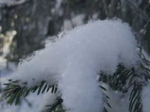 leevi_madetoja - Berceuse Op.12 no5 Pianisti Risto Lauriala (s. 21. marraskuuta 1949 Oulu, Finland) http://klassinen.fi/profiili/9262 http://fi.wikipedia.org/wiki/Risto_Lauriala.