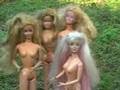 ZIPSTER and The NUDIST COLONY!