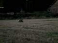 Airsoft