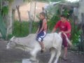 Figurilla Jineteando la Pulga pt. 3