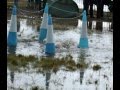 RIAT floods 11/7/08