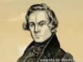 robert-schumann-romantic-speed-painting-by-m-missfeldt.html