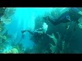 SCUBA Diving in Bermuda! - YouTube