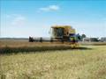NEW HOLLAND - kombajny zbożowe