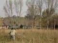 Airsoft Arg, Cale tira y tira