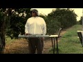 Damion Suomi Mustard Seed Video and Lyrics