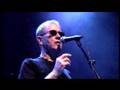 OYSTERBAND Molly Bond