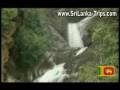 Sri Lankan Waterfalls By Erickson Tissera
