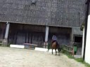 Moi et Baron