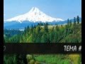 TEMAS INSTRUMENTALES