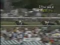 Winning Colors - 1988 Kentucky Derby Winning Colors - 1988 Kentucky Derby