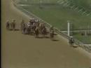 Winning Colors - 1988 Kentucky Derby