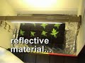 my closet growroom my closet growroom