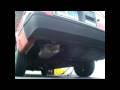 1987 Toyota Tercel Wagon 4WD Weber Carburetor Revving