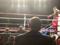 Deontay Wilder TKOs Ethan Cox