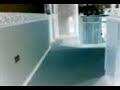 gasparin