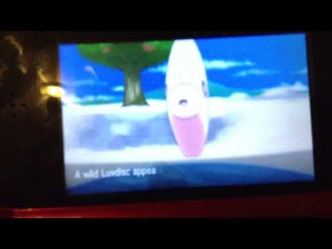 how to train smeargle pokemon x
