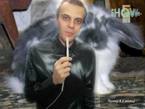 животное заяц с чесночным соусом