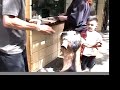 baboons.html