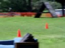 CT police k9 olympics