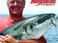 Megabait LA Slider Swimbait Bass Fishing Lure Action Demo Megabait LA Slider Swimbait Bass Fishing Lure Action Demo