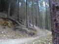 LLANDEGLA BLACK RUNS - The New Stuff