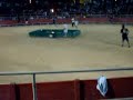 attaque de taureau