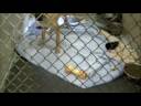 SpotSpace v3 -