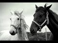 Jade Camargo.wmv