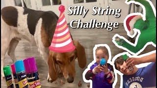 Silly String Challenge | Birthday Celebration. 