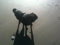 mojo beach 11 09.MOV