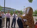 2008 MOST Heart Breaking animal saving Footage !!! 2008 MOST Heart Breaking animal saving Footage !!!
