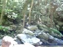 marks backflip