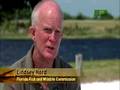 When Animals Strike - Gator Strike Call for Help
