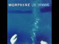Morphine - Swing It Low Morphine - Swing It Low