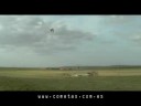 Pipa Brasileña_Cometas