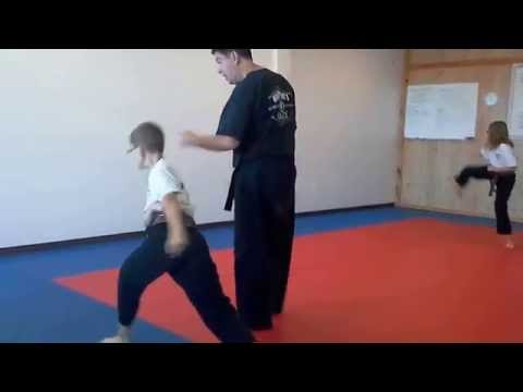 Hampton's Karate Academy - Forms Practice 01