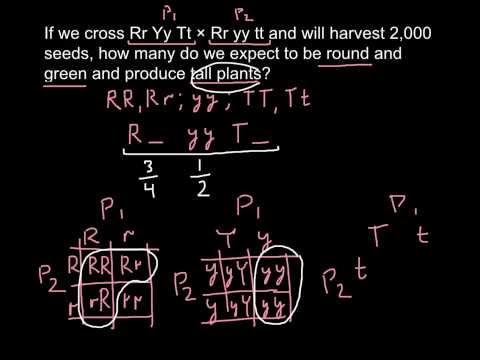 how to calculate probability