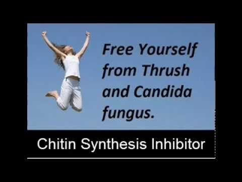 how to treat systemic fungal infection