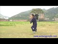 Wudang Taiji 13