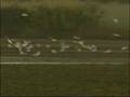 LACOMA und der KONZERN (Clip Nr. 2)