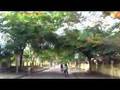 Siobhan Donaghy - There's A Place