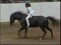 live like you were dying competition horse ride