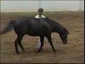 live like you were dying competition horse ride