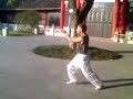 It is a kind of Chinese kungfu. The major feature of it is that it combines attack and defense. The representer, sifu Guan is from Foshan, Guangdon, China. (more)