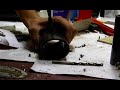 This is how I make the mallets I personally use, and also the ones which I sell. This method requires many more tools and time than my 