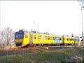 Wadloper Baflo (trein)