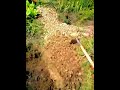 Click here to watch this video Priest Selassie Candid - Organic Healing Mother Earth