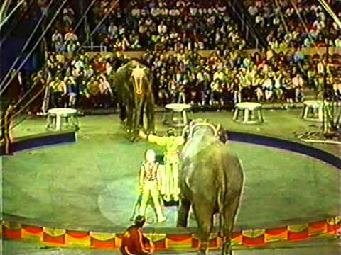 Variety Show - Ringling Brothers Barnum & Bailey Circus Showreel 1987